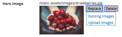 Content Author - Form Control Image Picker