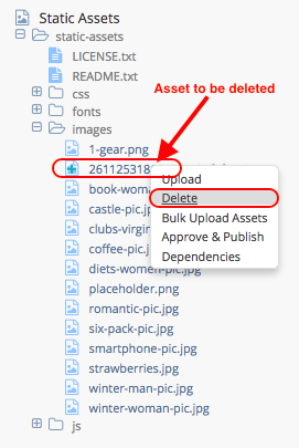 Static Assets - Delete