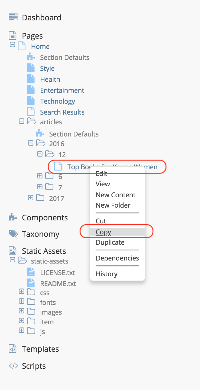 Content Author - Copy Page Menu