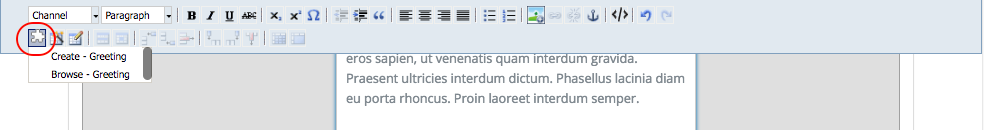 Components in RTE - Click Insert component on RTE toolbar :align: center