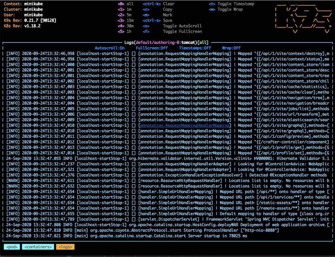 Simple Authoring with a Single Instance using Kubernetes deployments - k9s log views