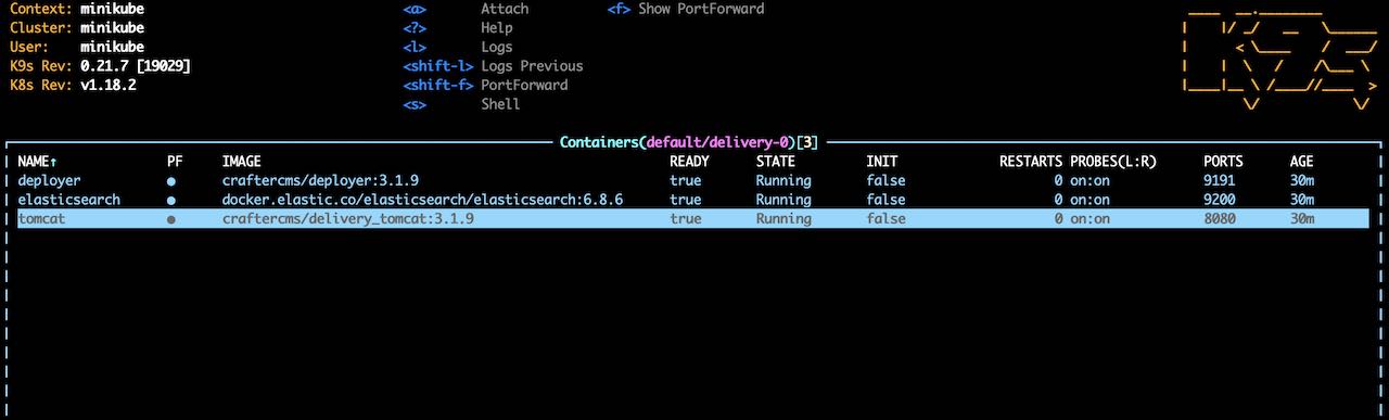 Simple Delivery Kubernetes deployments - k9s container views