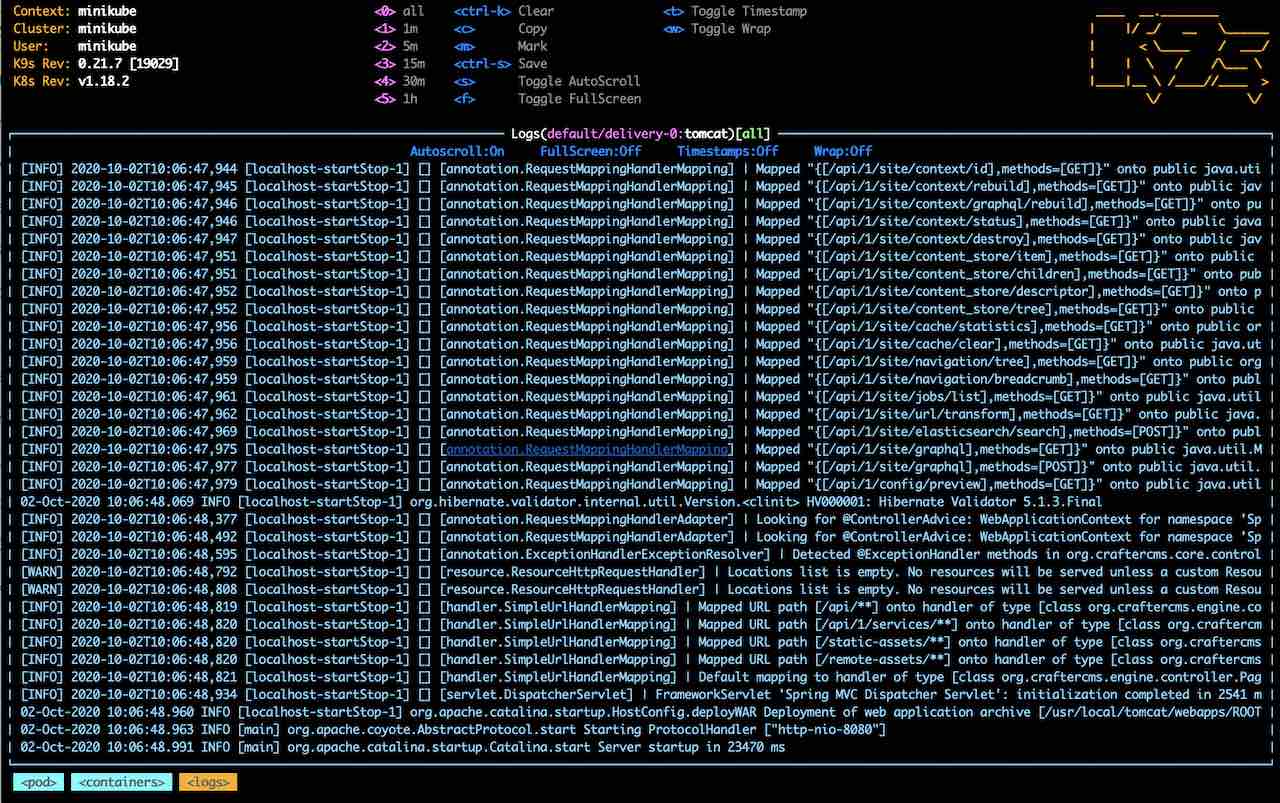 Simple Delivery Kubernetes deployments - k9s log views