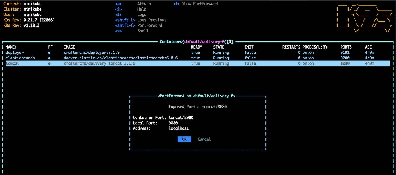 Simple Delivery Kubernetes deployments - k9s port forward