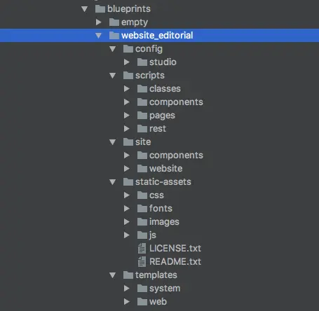 Blueprint Anatomy