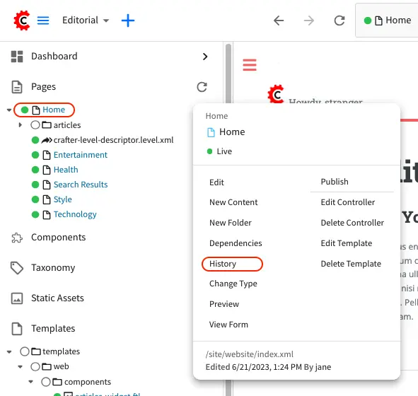 Content Author - Page Access History Tree