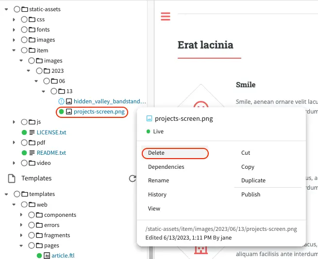 Static Assets - Delete