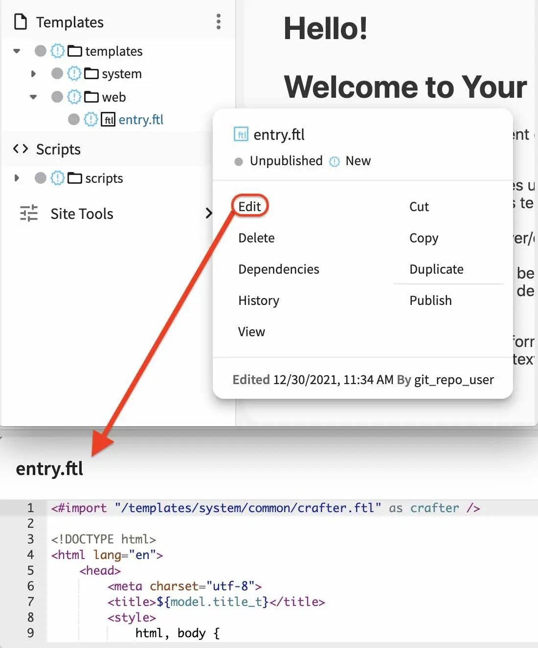 Copy index.html contents to page ftl file.